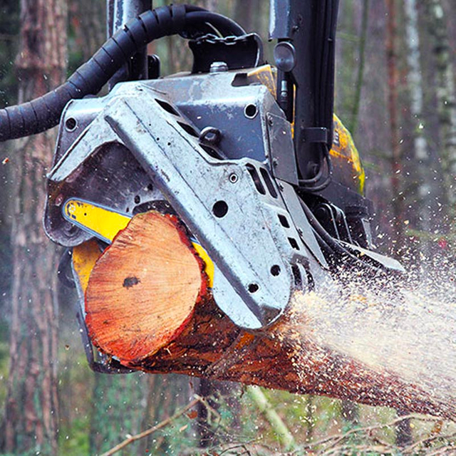 <div style="text-align: center;"><span style="font-size:20px;"><span style="color:#ffffff;"><span style="font-family:Oswald;">Forestry Logging</span></span></span></div> <link href="https://fonts.googleapis.com/css?family=Oswald" rel="stylesheet" type="text/css">